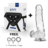 X RAY - HARNESS + TRANSPARENT DILDO WITH BALLS 18.5 CM -O- 3.8 CM